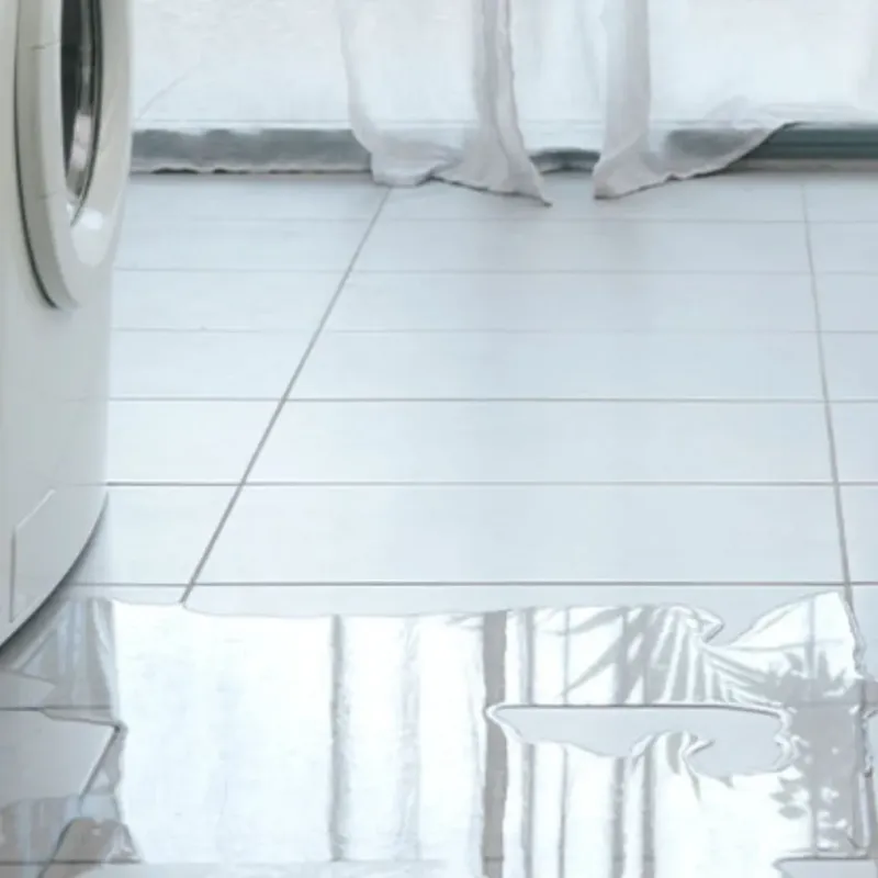 Appliance Leak Cleanup in Mount Olive, NC