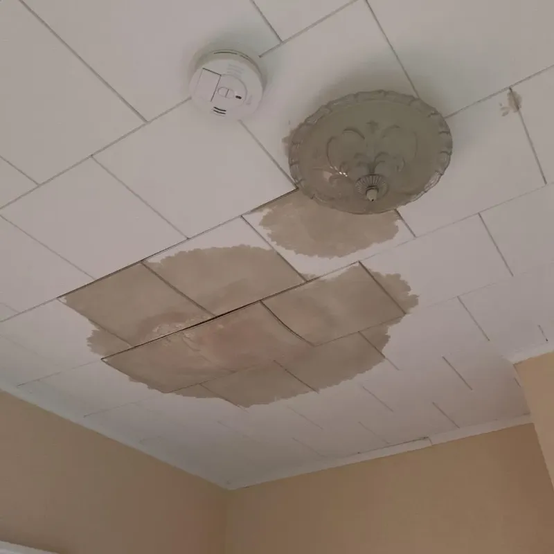 Ceiling Water Damage Repair in Mount Olive, NC