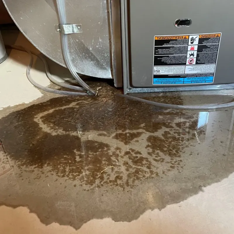 Pipe Burst and Leak Restoration in Mount Olive, NC