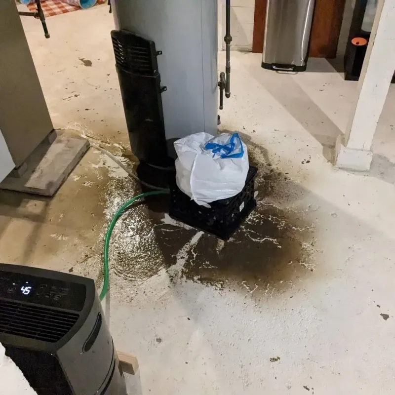 Sewage Backup Cleanup Service in Mount Olive, NC